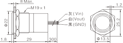 TS19A